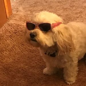 Meet your Posher, Coltrane